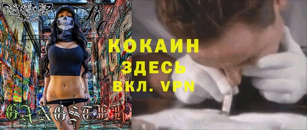 не бодяженный Алексин
