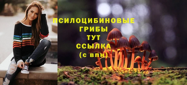 не бодяженный Алексин